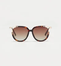 Γυαλιά Ηλίου Damme, Καφέ Χρυσά Ταρταρούγα