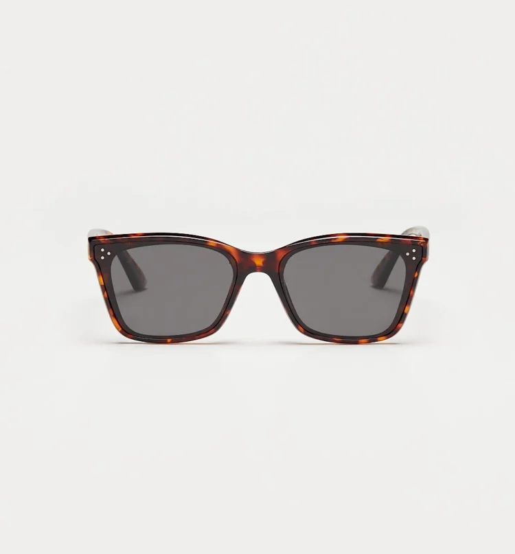 1802202484 Ethel, Brown Tortoise sunglasses front view