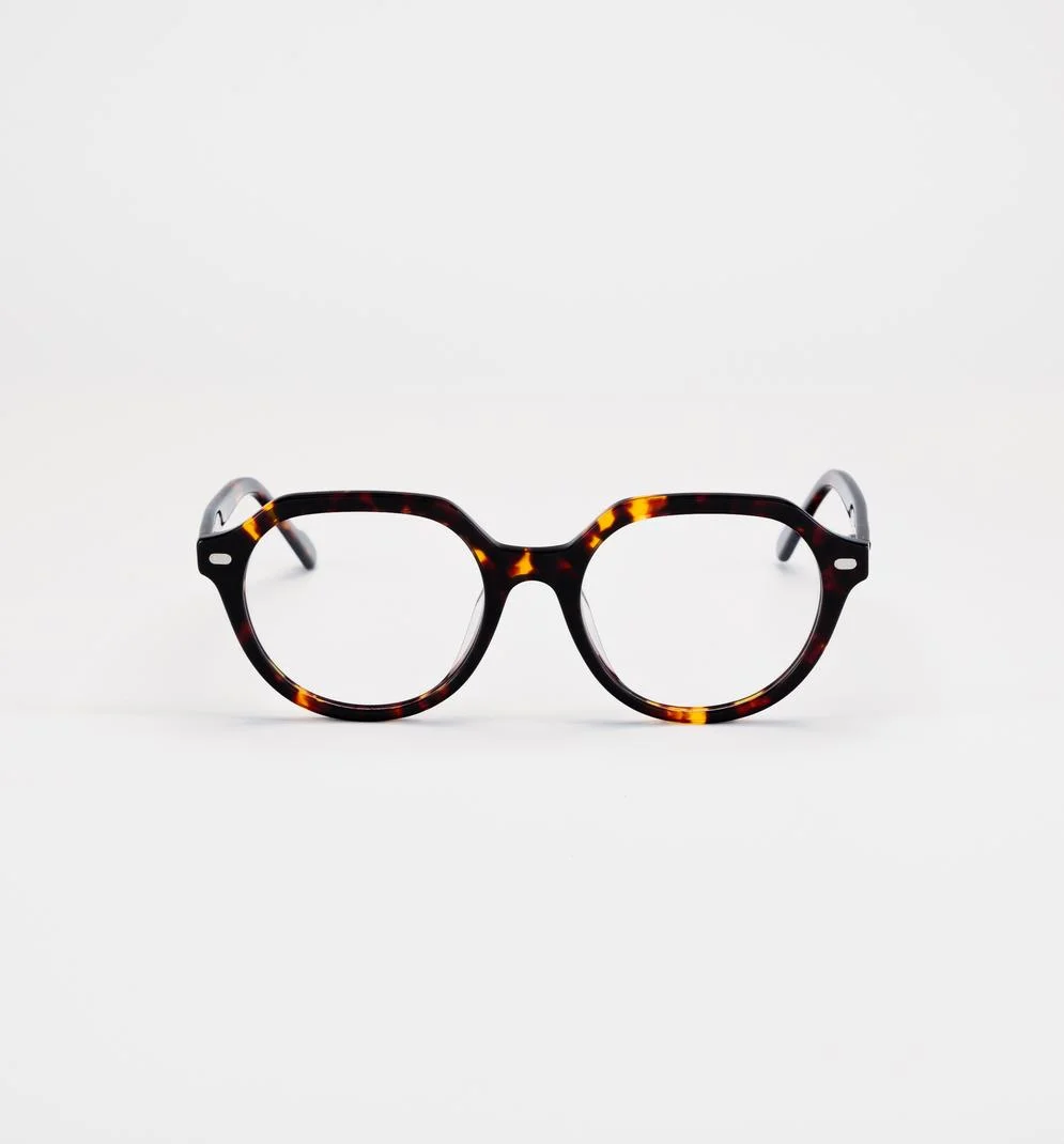 C.On.1, Brown, Tortoise