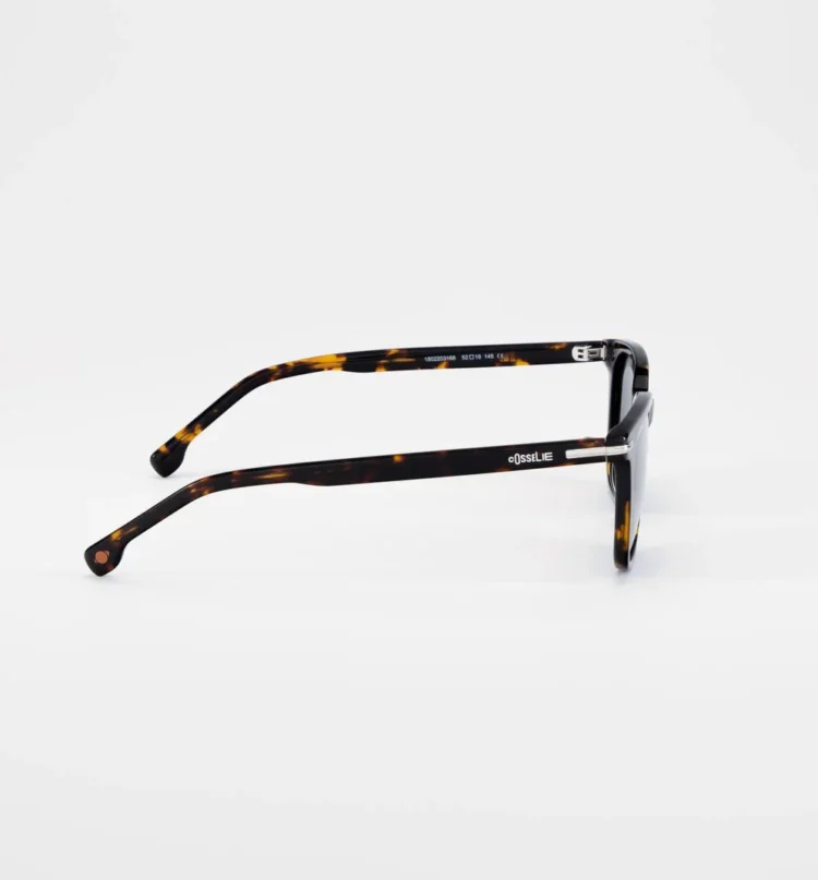 1802203168 Calabria Tortoise sunglasses side view