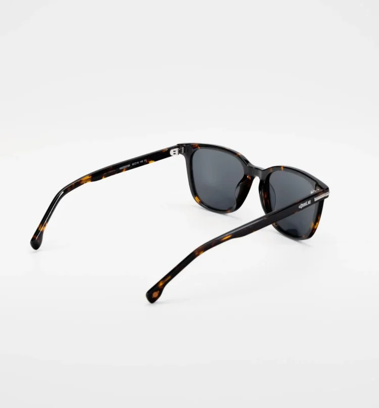 1802203168 Calabria Tortoise sunglasses right back view