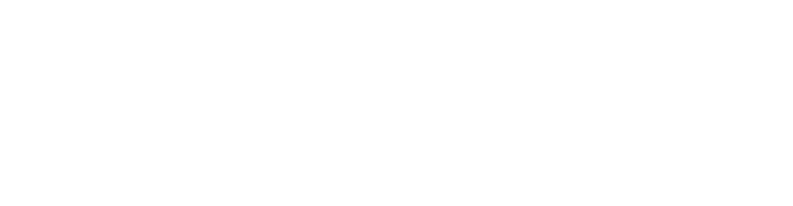 Λευκό λογότυπο COSSELIE, οριζόντιο