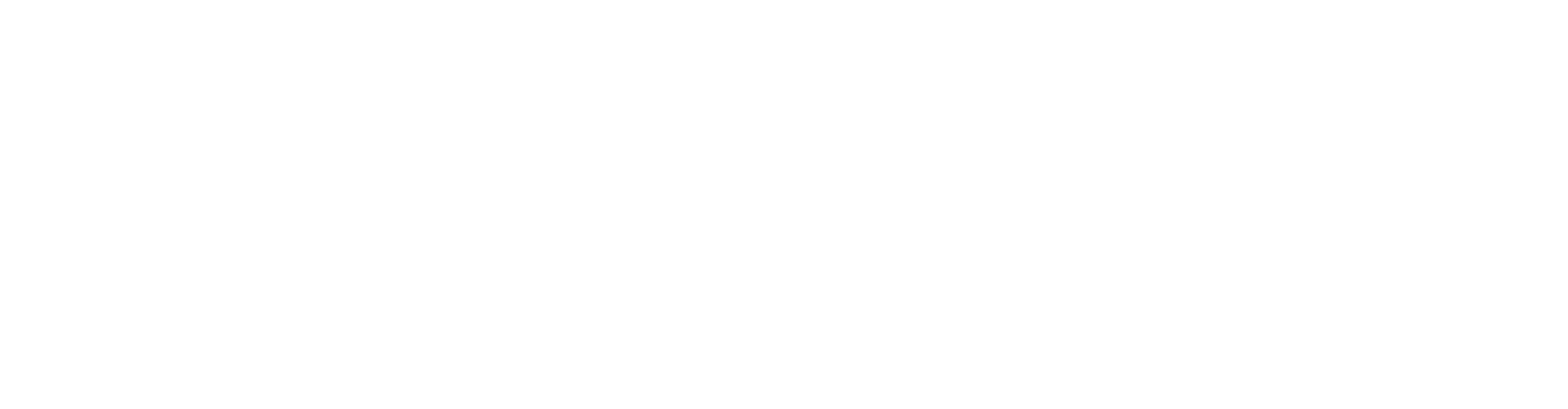 Λευκό λογότυπο COSSELIE, οριζόντιο