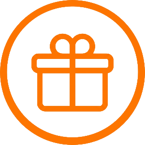 Premium icon